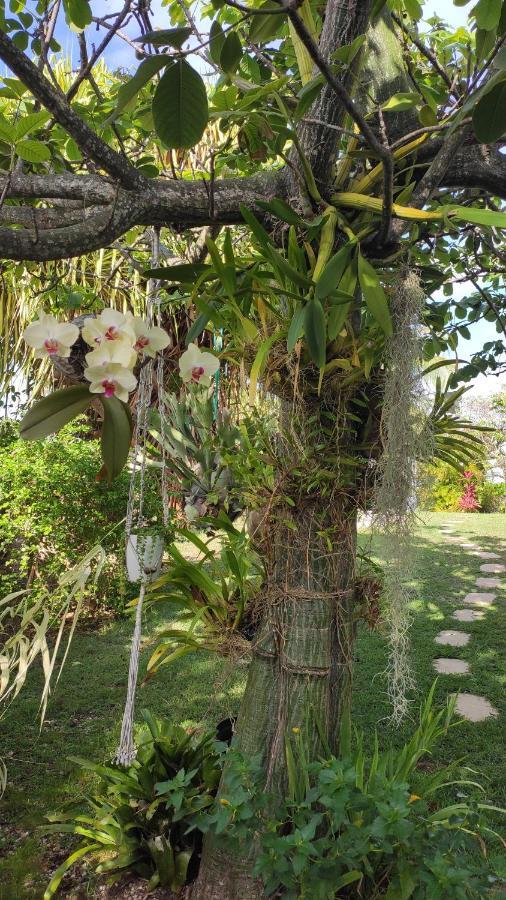 לה גוסייר Villa Titemarina מראה חיצוני תמונה